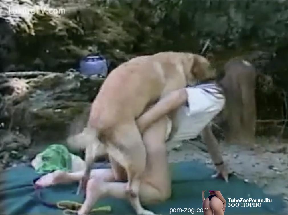 Секс с собакой на подстилке в парке порно с животными